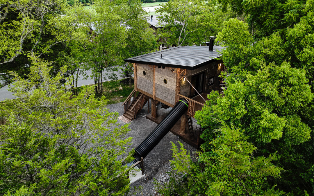 June in the Smokies: Bald Eagles, Waterparks & Treetop Family Adventures