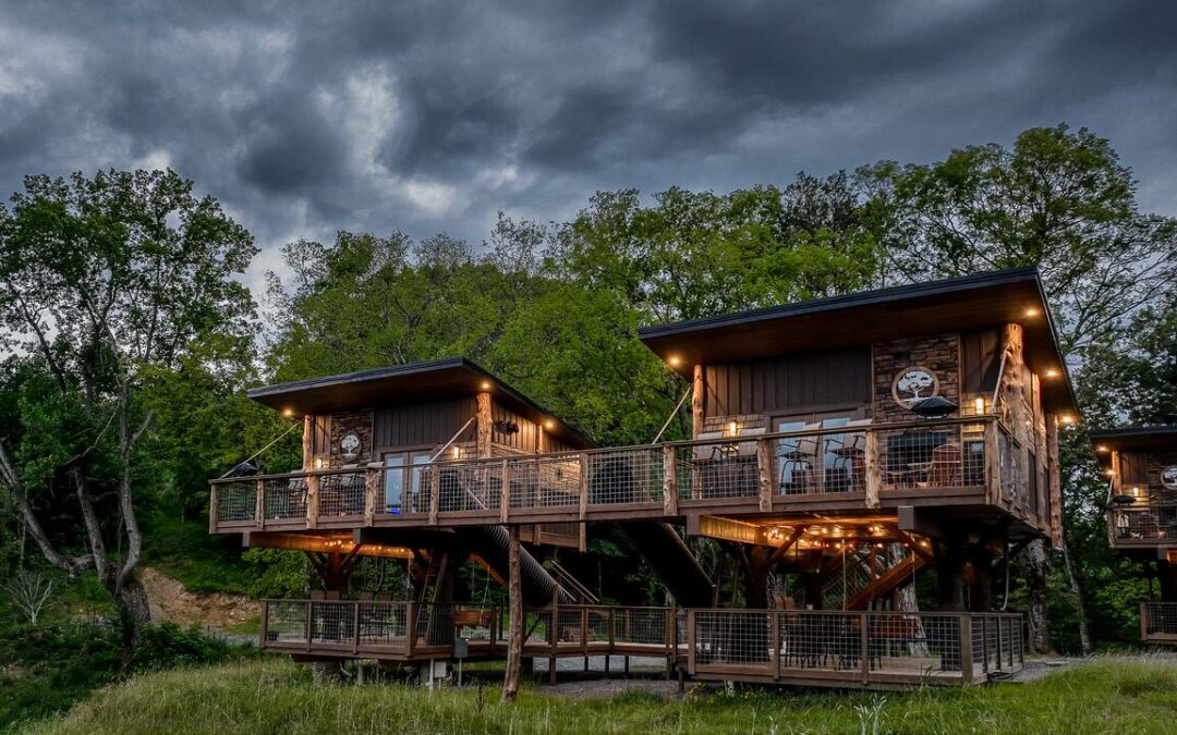 Fun Things You Didn’t Know About Sanctuary Treehouse Resort