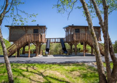 tree fort double sevierville tn