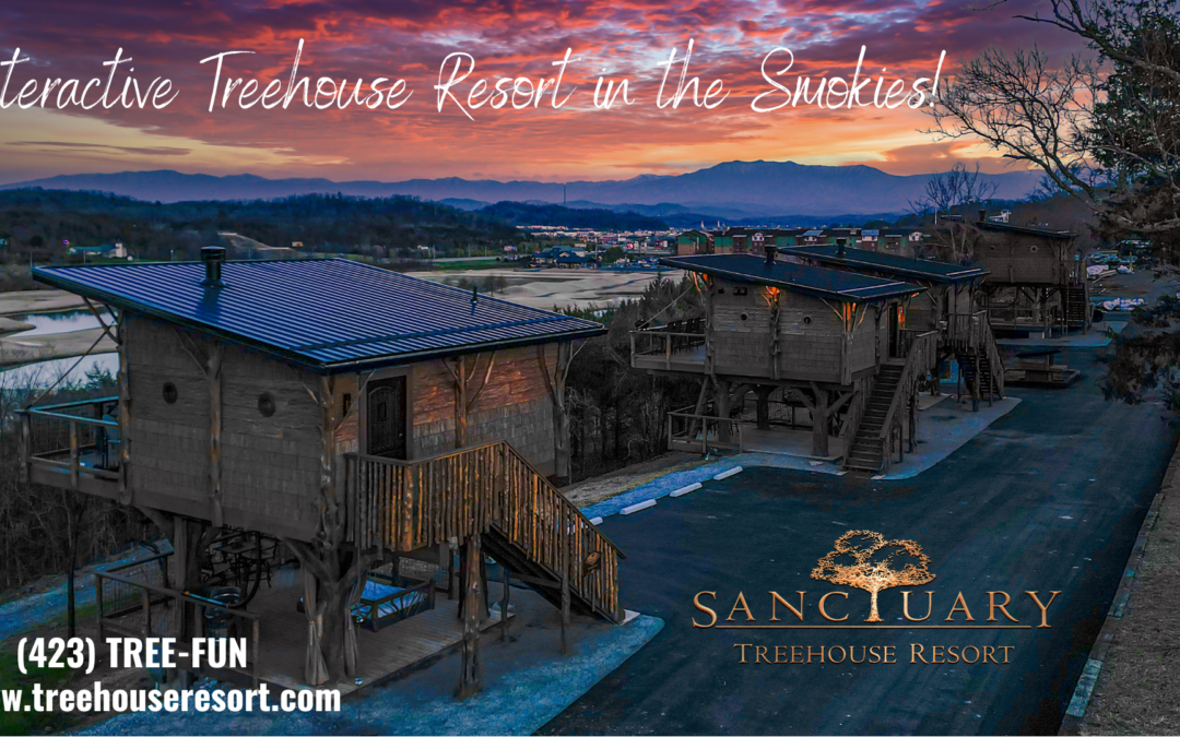 Top Activities to Enjoy During Spring Break in the Smokies