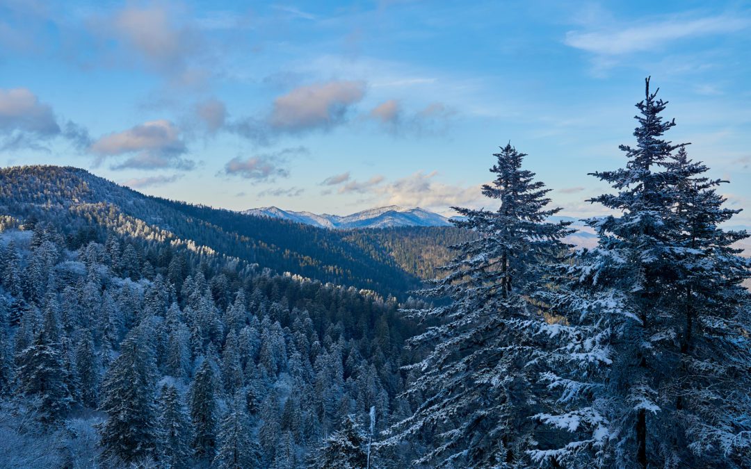 Best Things to do in the Winter in the Smokies