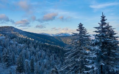 Best Things to do in the Winter in the Smokies