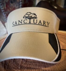 STR Visor