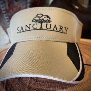 STR Visor