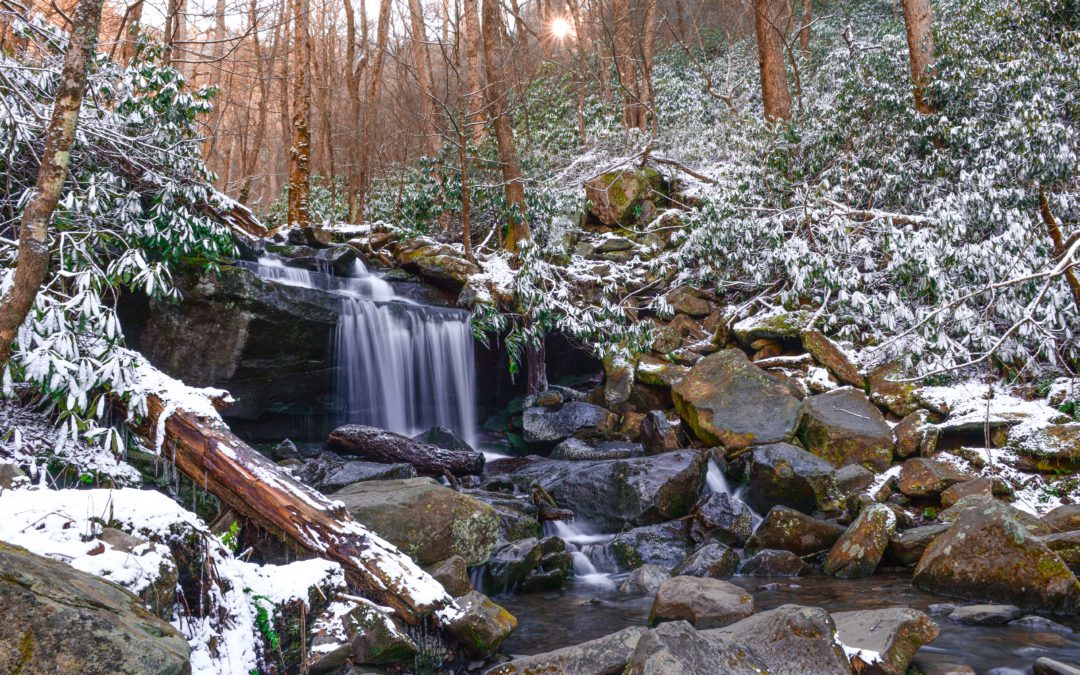 How To Survive the Winter Blues