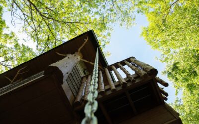 Inside the World’s First Interactive Treehouse Resort
