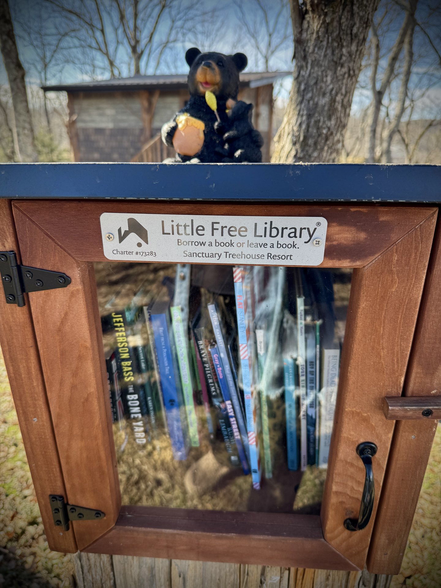 Inside the Little Readers Box, stocked with books for all ages Inside the Little Readers Box, stocked with books for all ages