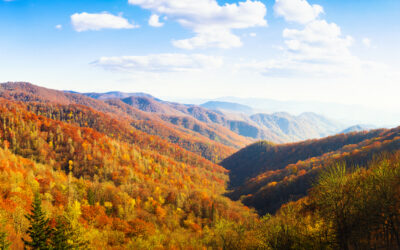 When’s the Best Time to Visit the Smoky Mountains? (Hint: It’s Every Season)