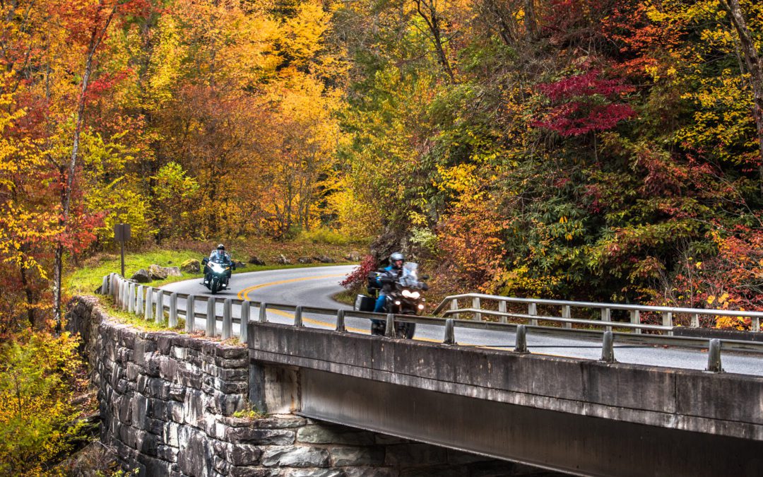 Smoky Mountain Fall Fun