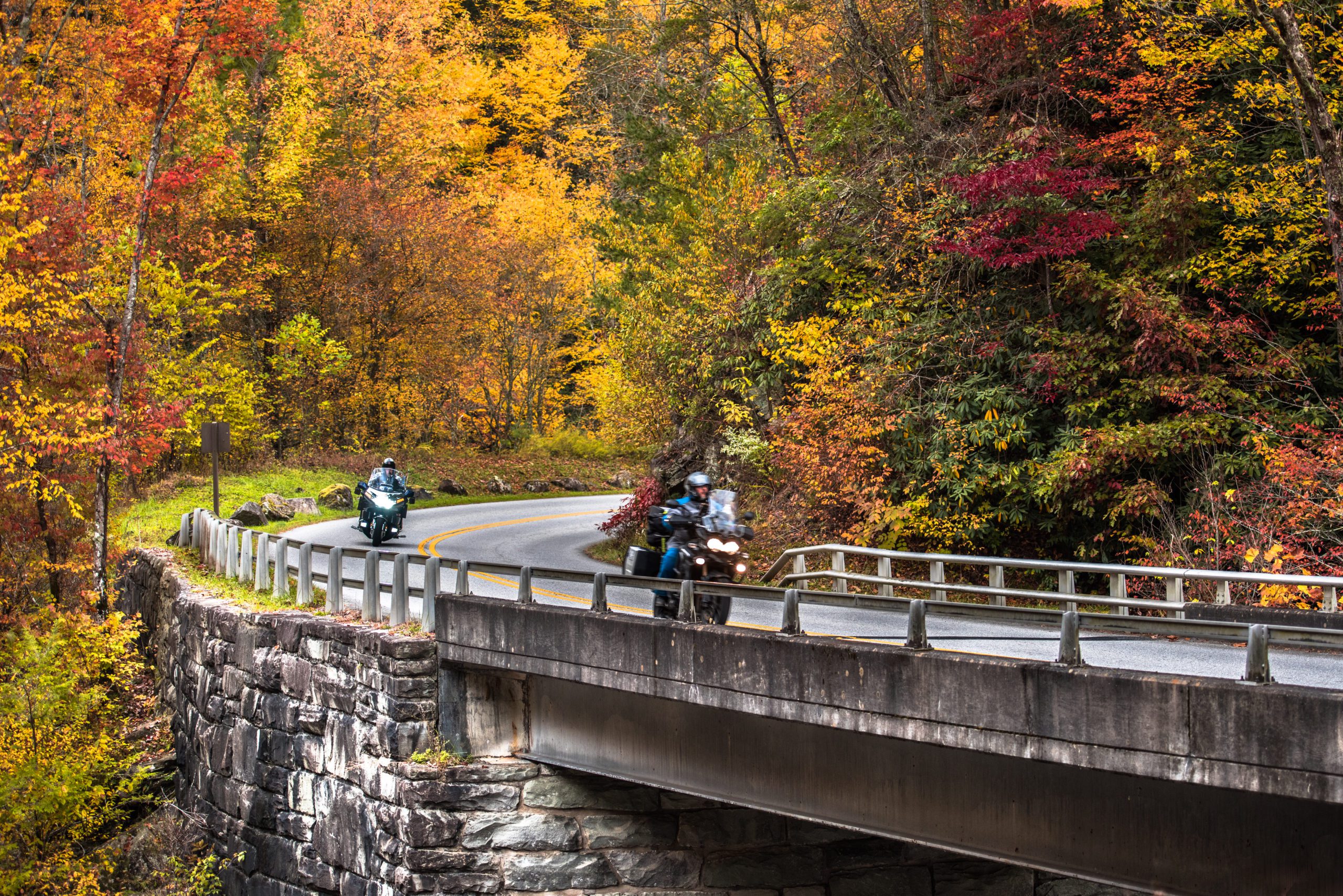 motorcycles going over a bridge with beautiful fall trees all around