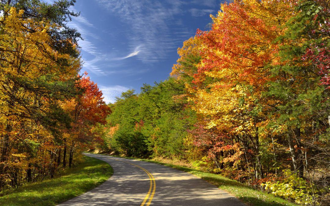 Things To Do In The Smoky Mountains In October