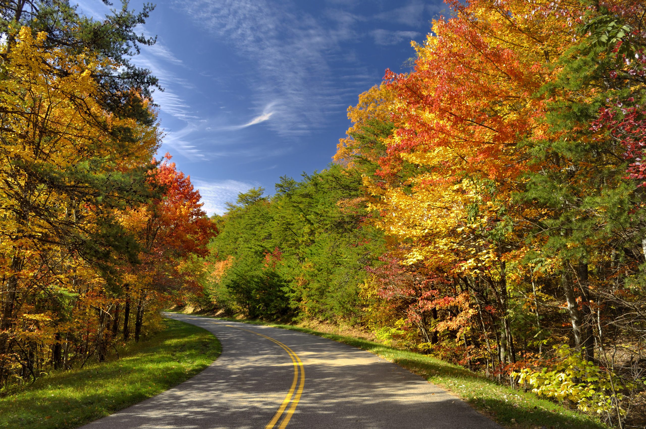 A road through the mountains in the fall.